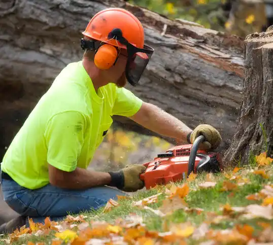 tree services Montauk